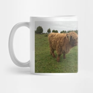 Scottish Highland Cattle Calf 1545 Mug